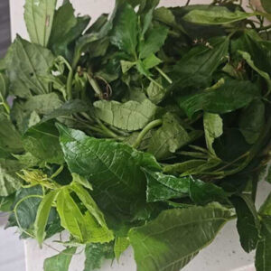 Green Leaf