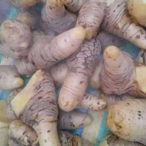 Sweet Yam